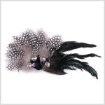 Brooches |  Black/White Feather Brooch Brooches Black,White